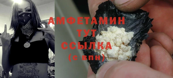 индика Пересвет