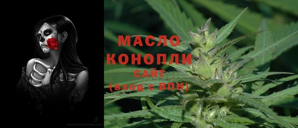 индика Пересвет