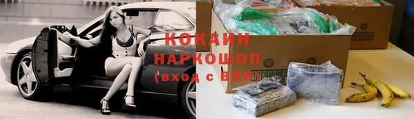 индика Пересвет