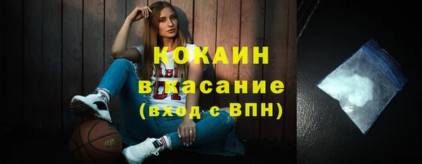 индика Пересвет