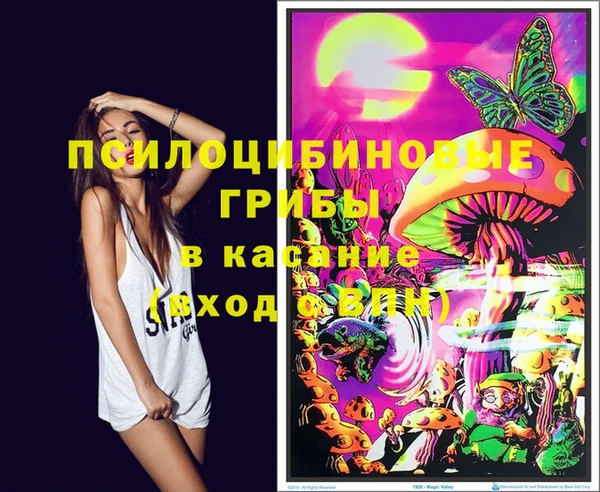 индика Пересвет
