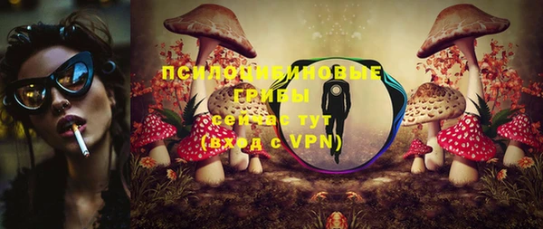 индика Пересвет