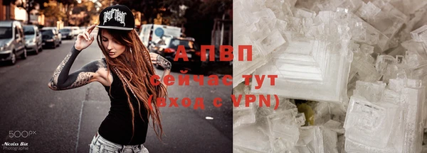 индика Пересвет