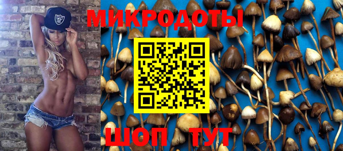 Азнакаево  Галлюциногенные грибы Magic Shrooms  Вход с VPN  Псилоцибиновые грибы Psilocybine cubensis 