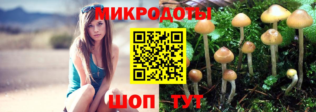 Галлюциногенные грибы GOLDEN TEACHER Азнакаево