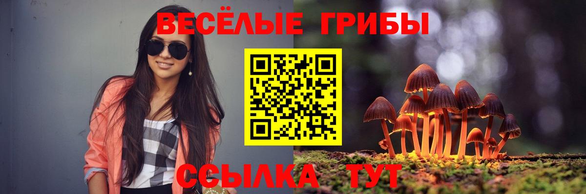 Галлюциногенные грибы GOLDEN TEACHER  Вход с VPN  Азнакаево 